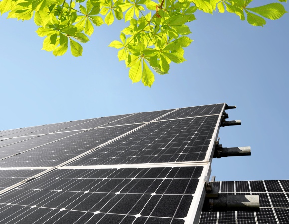 Where can you mount solar panels for businesses